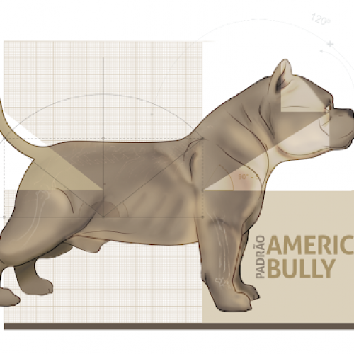 Conheça o american bully, um cão forte, companheiro e gentil